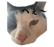 672959002