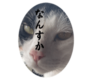672959006