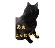 672959017