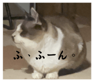 672959033