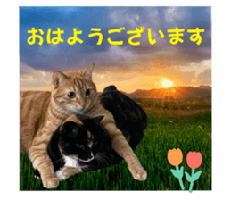 672963176