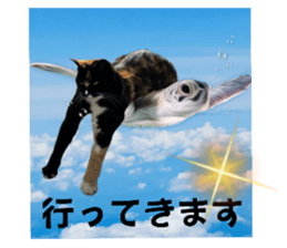 672963186