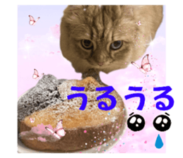 672963198
