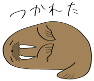 672971823