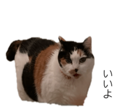 672975724