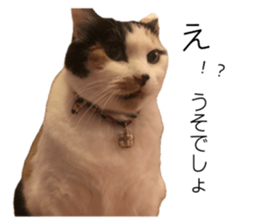 672975745