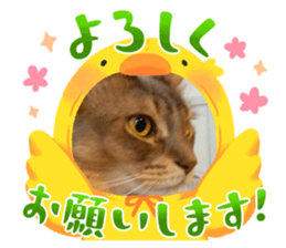 672993113