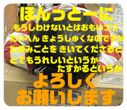 673031811