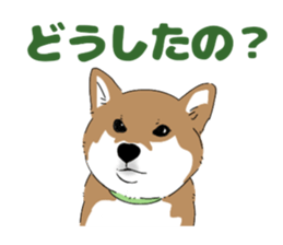 673064357