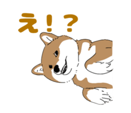 673064358