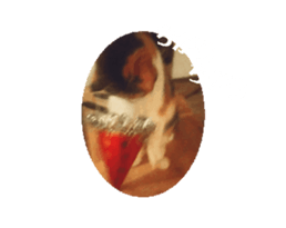 673090343