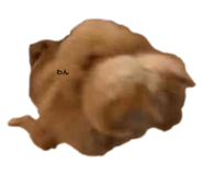 673161600