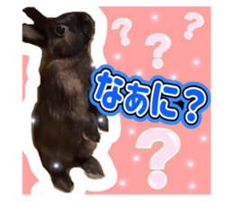 673173714
