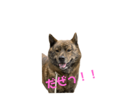 673201244