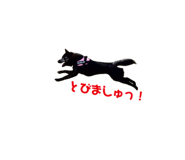 673201252