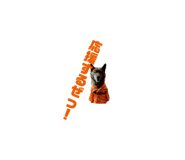 673201253
