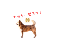 673201255