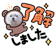 673211584