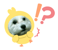 673211589