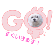 673211593