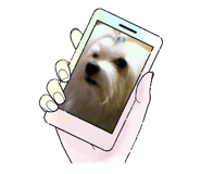 673211604
