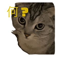 673218031