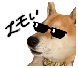 673218172