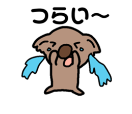 673228887