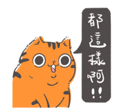 673255538