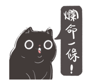 673255540