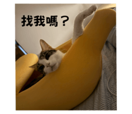 673256304