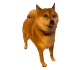 673272536