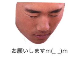 673290402
