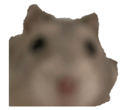 673291687