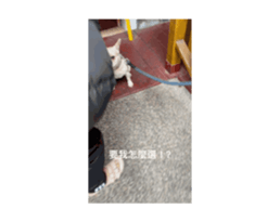 673298692