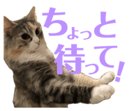 673317034