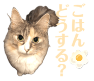 673317043