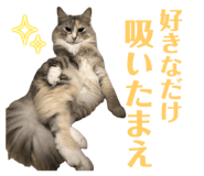 673317061