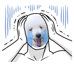 673317140