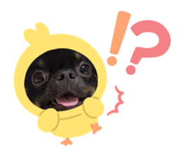 673355832