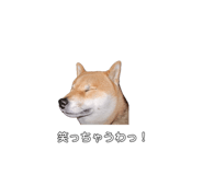673405369