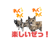 673405375