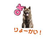 673405385