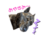 673405386