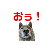 673405388