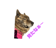 673405394