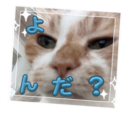 673406064
