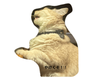 673406625