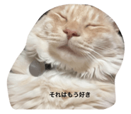 673406626