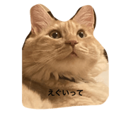673406628